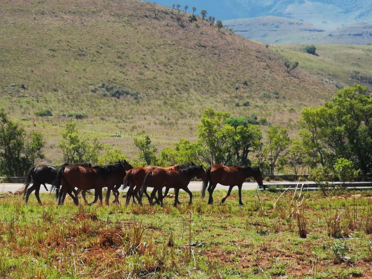 Treur River Lodge Moremela Luaran gambar
